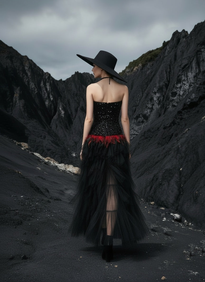 Back View of Black Gothic Organza Evening Gown
